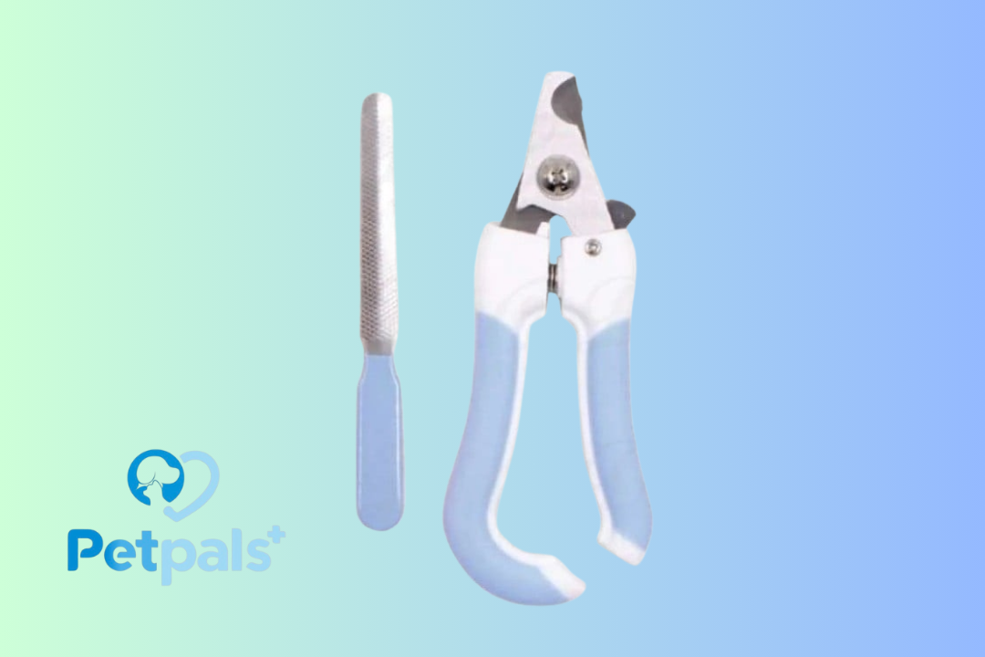 Pet Royal Gunting Kuku dan Kikir Anjing